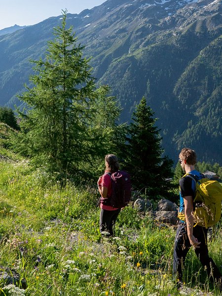 Sommerurlaub in Gries